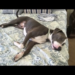 Meet your Posher, Cherice